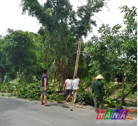 Thanh Liêm: Xã Thanh Hà đôn đốc chỉnh trang cảnh quan môi trường