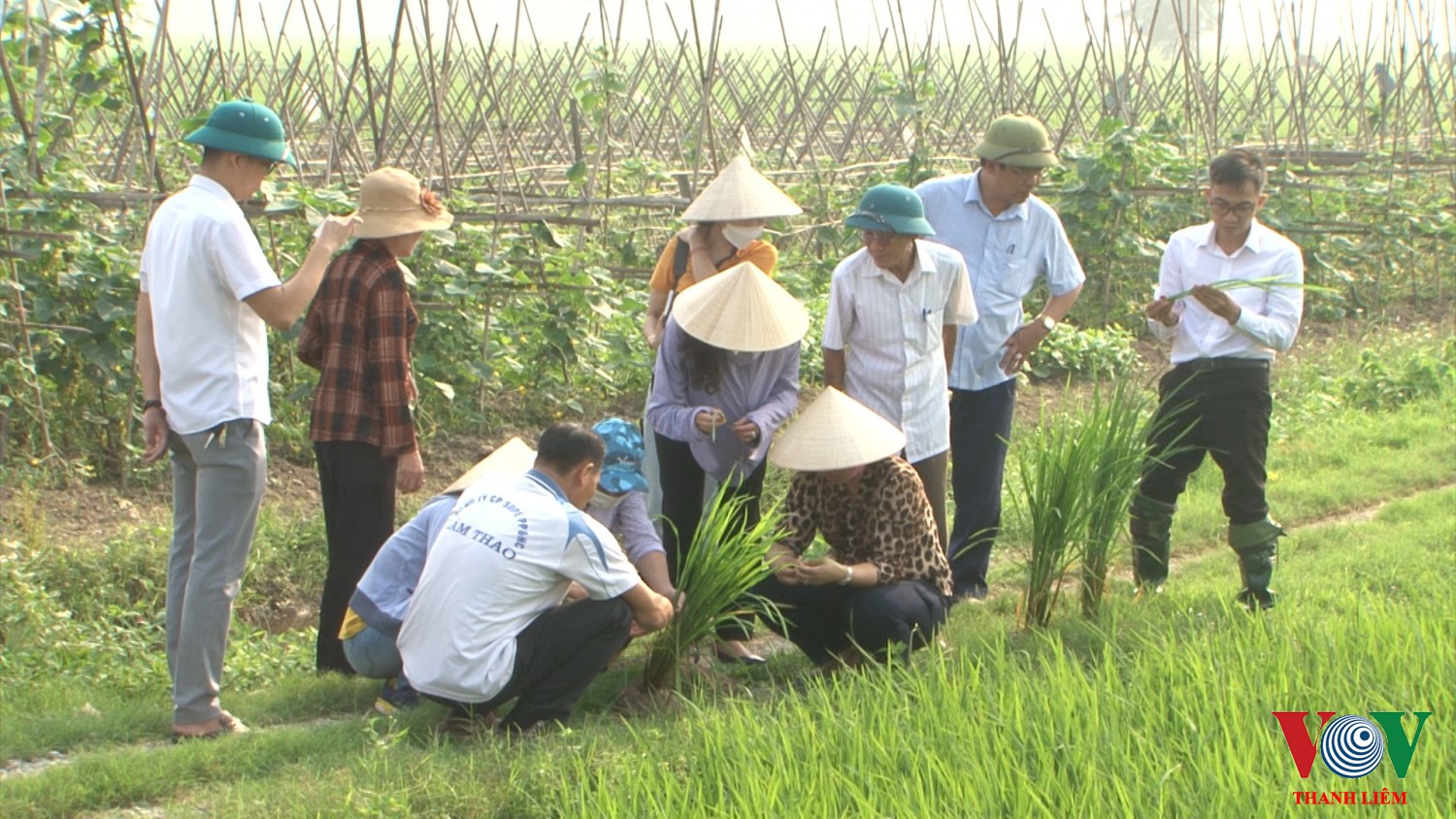 Đoàn kiểm tra tình hình sâu bệnh tại xã Thanh Tân. Ảnh: Khắc Hùng