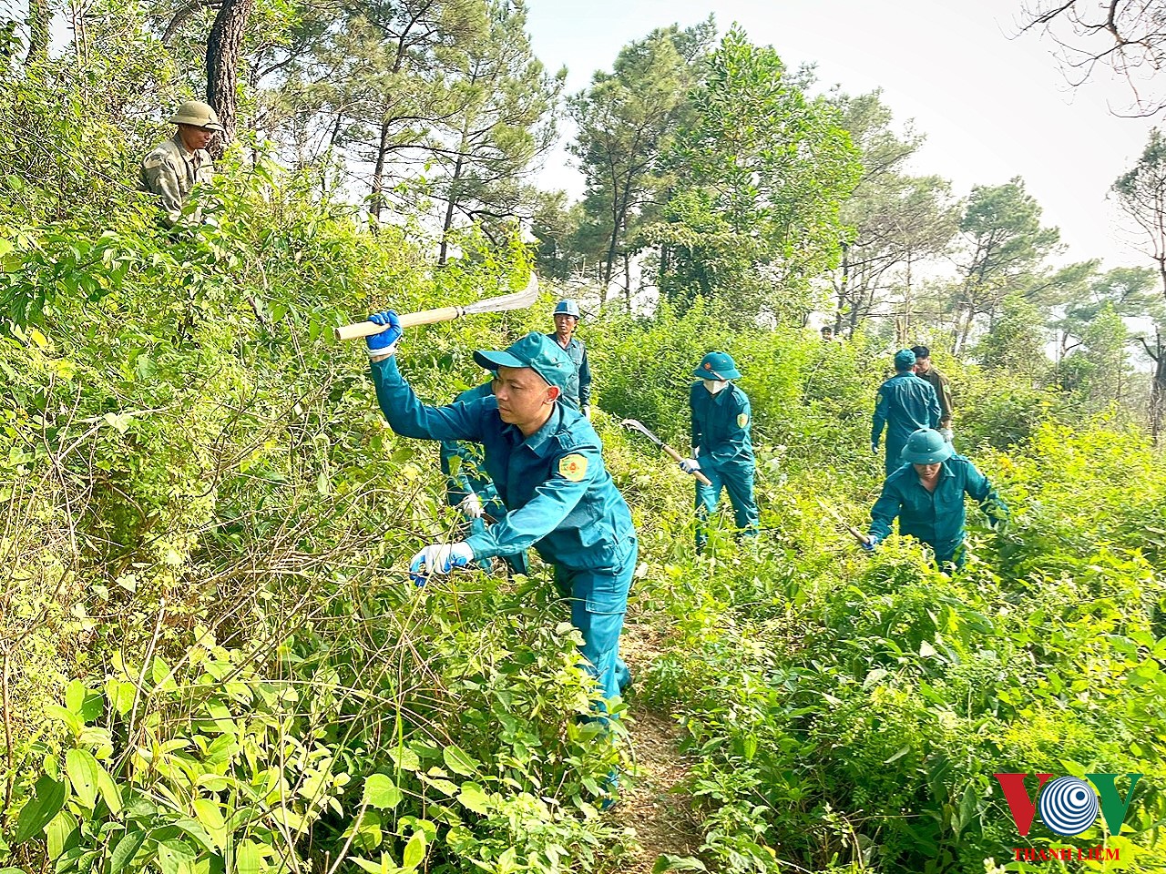 Lực lượng dân quân thị trấn Tân Thanh phát quang đường băng chống cháy lan.